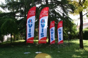 BANDIERA Avis Ravenna - pinna media e piccola