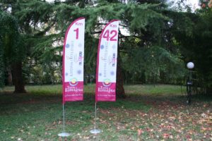 Bandiera Maratona di Ravenna - pinna piccola